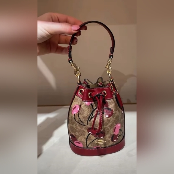 Coach Accessories - Coach Mini Bucket Bag In Signature Canvas With Cherry Print